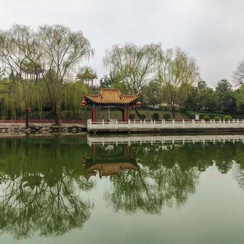 烟雨洪河岸