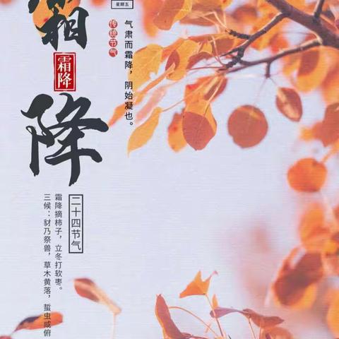 二十四节气“霜降——高新区第四十七幼儿园“名校+”教育联合体