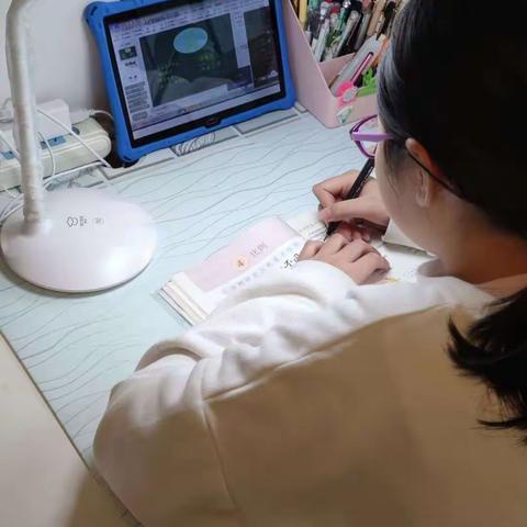 线上教学之我见