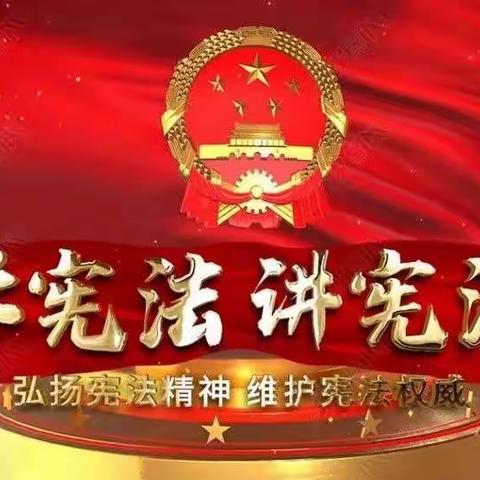 扶沟县实验小学开展“弘扬宪法精神，共建法治校园”系列主题实践活动