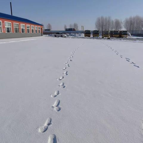 不畏严寒，扫雪助学——记风华中学教师扫雪活动