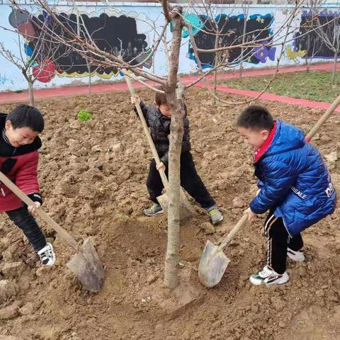 “春暖花开，种植未来”，阳光艺术幼儿园植树节活动