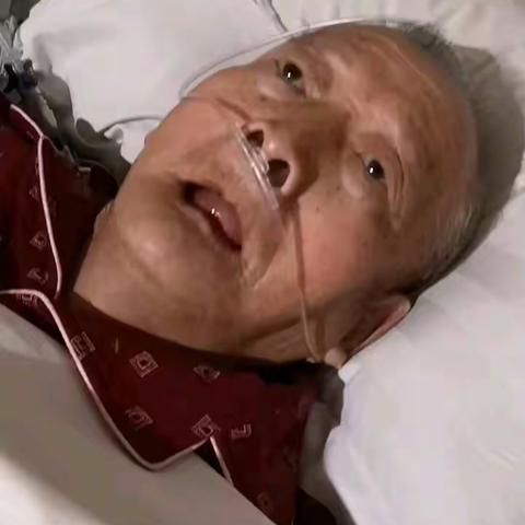 我的父亲（二）