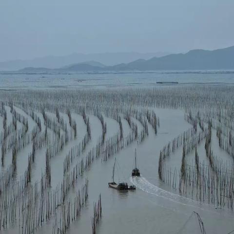 霞浦游