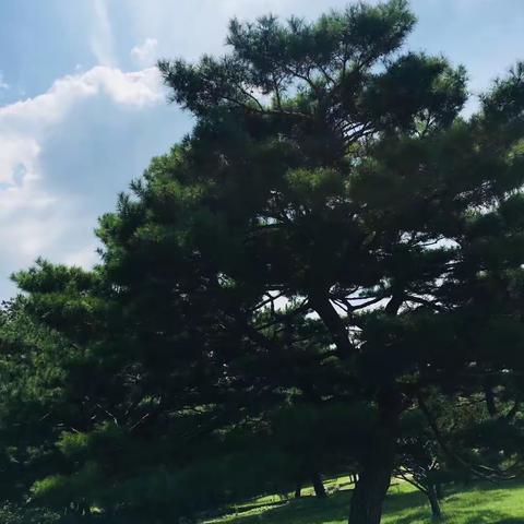 太阳当空照☀️花儿对我笑😊