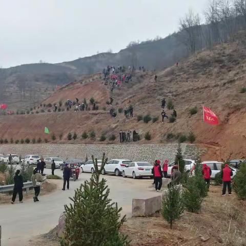 绿水青山就是金山银山———植树造林，我们在行动