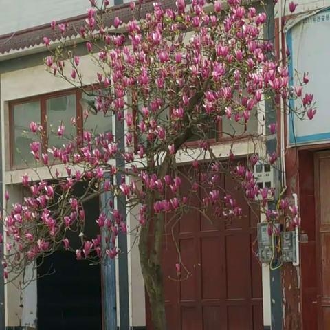 2017年清明琊川