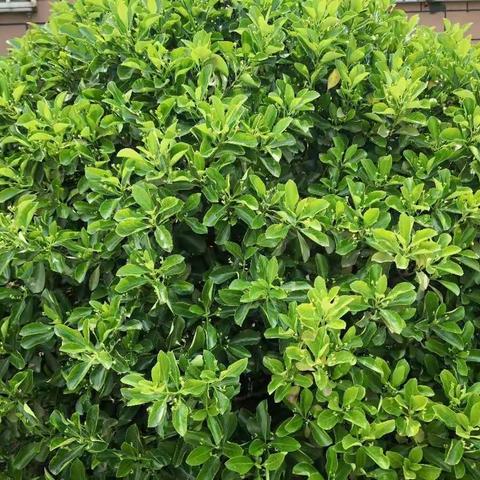 大地复苏！春意盎然！