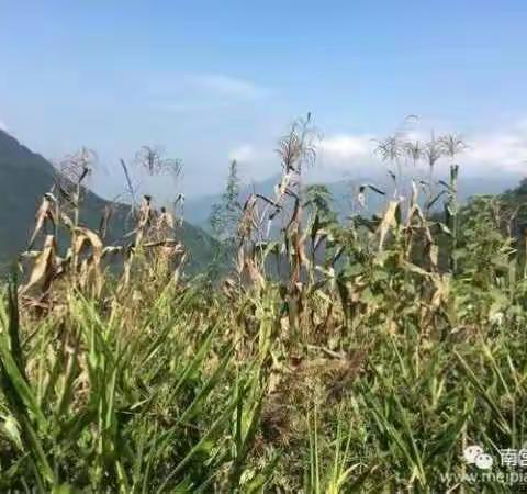 灾后重建更需同舟共济----记南宫山镇西河村