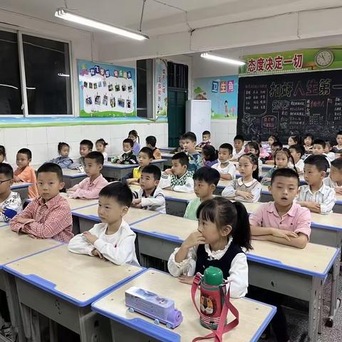 小苗成长记