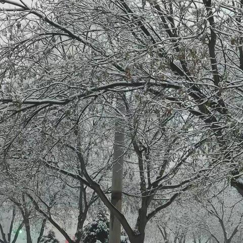 诵春雪