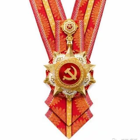 向“七一勋章”获得者致敬---第二实验学校党支部组织观看“七一勋章”颁授仪式