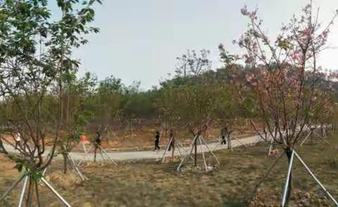 作别花事 梦里有意