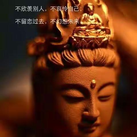 佛说：该来的来，该去的去