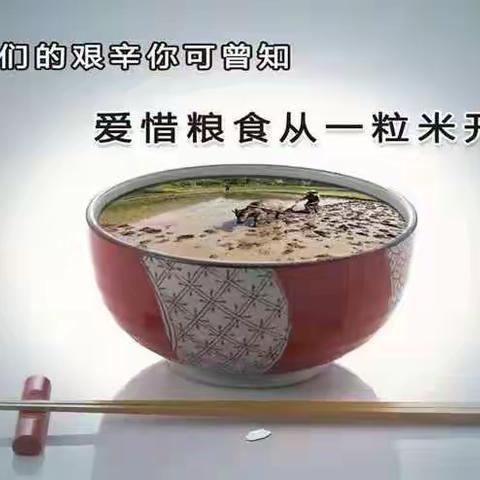 【华幼风采】“珍惜粮食 拒绝浪费”洋县华盛幼儿园中大班世界粮食日主题活动