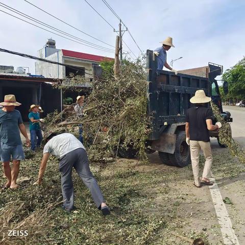 椰海浪潮的美篇