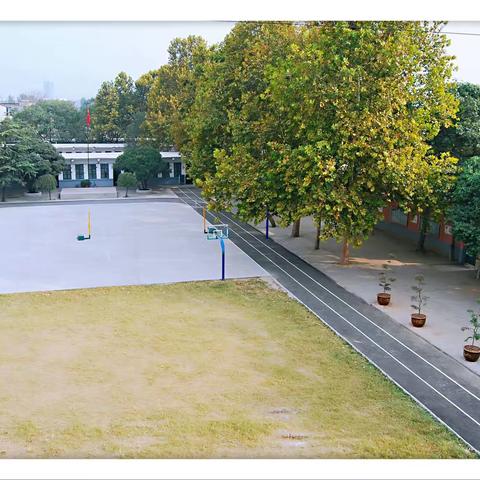 西高皇小学2020年秋季招生简章