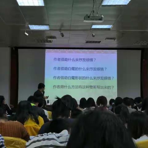 找准言语训练点，提高教学有效性