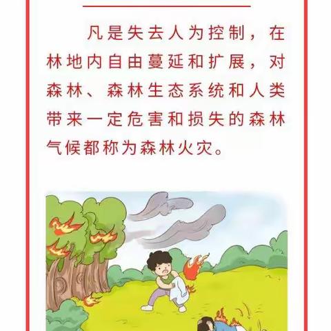 森林防火，人人有责~长直幼儿园大班消防安全教育