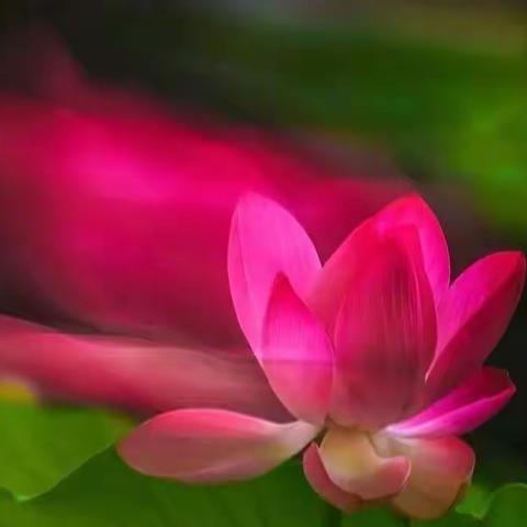 美错语录之《爱》