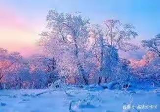 《等你，在雪中》