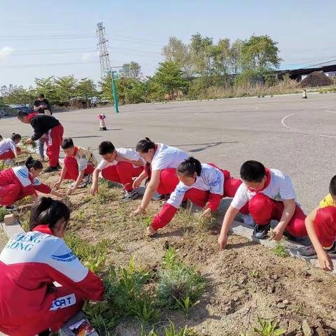 童心向党迎百年，热爱劳动好少年