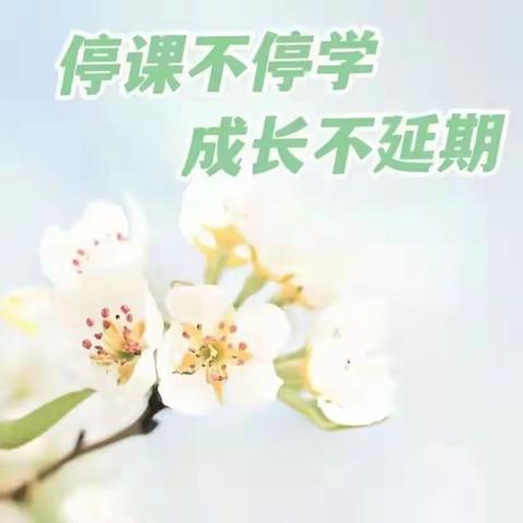 【家园共育】春蕾幼儿园线上学习活动📚🙇（第一期）