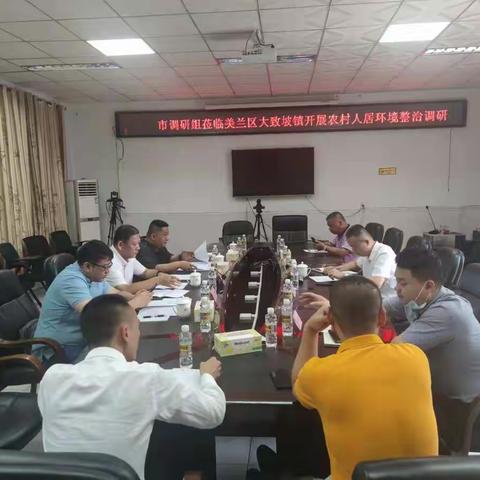 市联合督导组赴美兰区大致坡镇开展农村人机环境整治调研