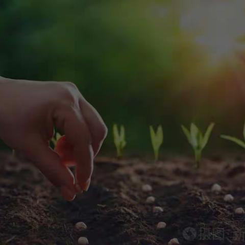 萌育芽幼儿园大三班10月活动主题 ——《土中寻宝》