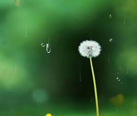 焕然一新的美篇