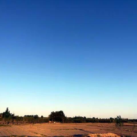 《故乡的景，故乡的情》