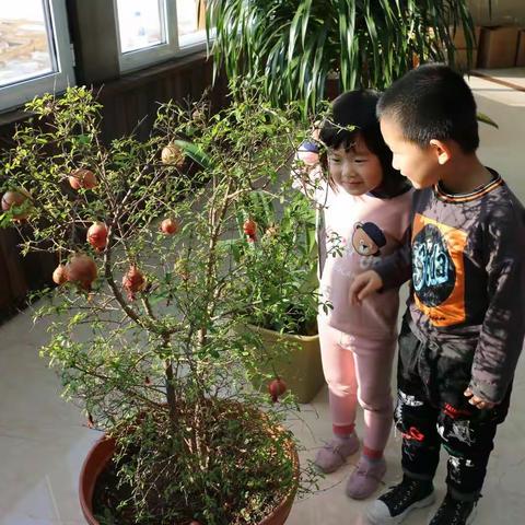 我们的园艺区和休闲吧✌️✌️