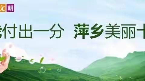 市环卫处清掏所12月14日督导工作日志