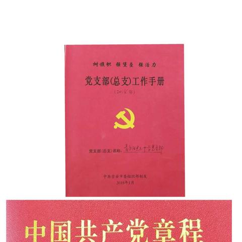 新时代新征程，新气象新作为——青原区天玉中学党支部迎来2018年第一个党员活动日