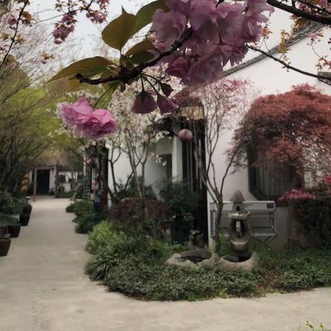 苏州花间堂•山塘人家 喝茶吃饭赏夜景