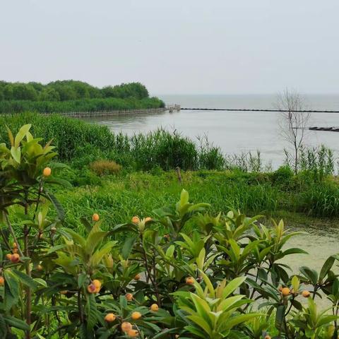 苏州太湖～吴中东山