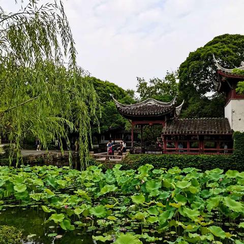 夏～苏州拙政园