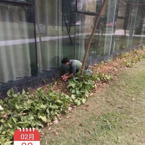 2023年2月4日海口丽思卡尔顿/万丽酒店日常工作报告