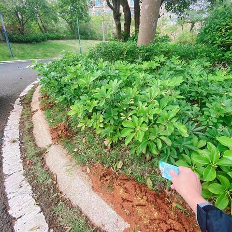 2023年1月26日日常工作报告