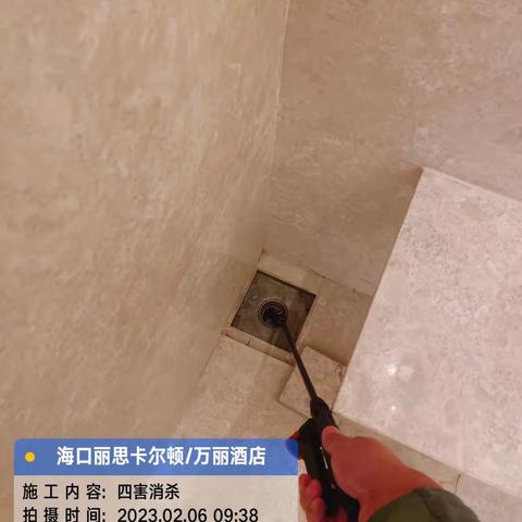 2023年2月6日海口丽思卡尔顿/万丽酒店日常工作报告