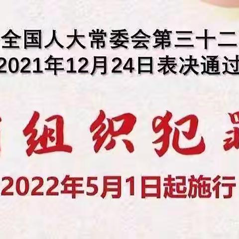 【枧底镇学校】一张图看懂《中华人民共和国反有组织犯罪法》