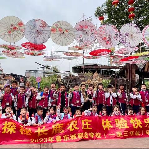 ✏️快乐于行，研学于心   ———东城朝盛学校208班研学之旅🚌