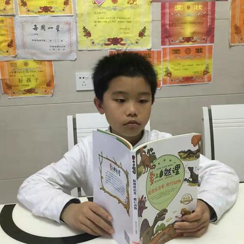 风信子的美篇