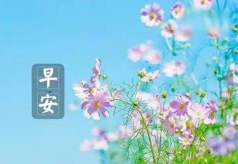 锦苑学前教育服务站星星班组——4月26日“温暖陪伴  快乐成长”