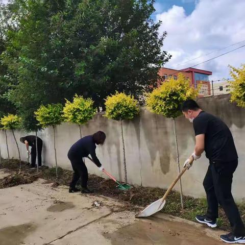 加强环境保护，共享绿色未来