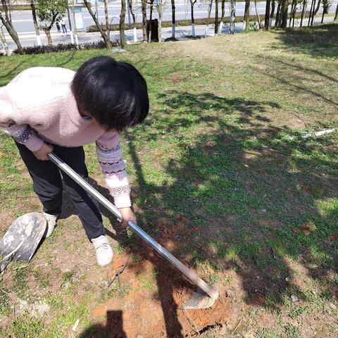 家庭实验：沙漠水源