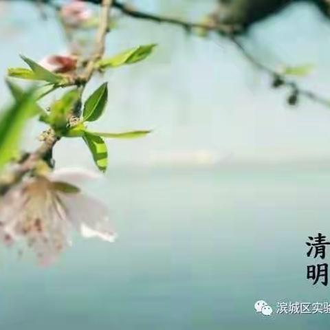 缅怀革命先烈 弘扬传统节日 ——滨城区第三实验小学2020级6班清明节活动纪实