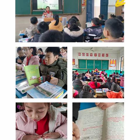 书香沁暖冬，悦读润心灵—枧头中心小学“寒假读一本好书”活动