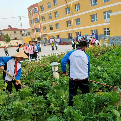 快乐农耕  我是校园小农夫——大侯村小学综合实践活动（二）