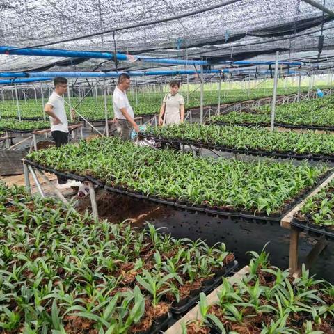 【能力提升建设年】乌烈镇财政所“送制度上门”指导村委会科学理财